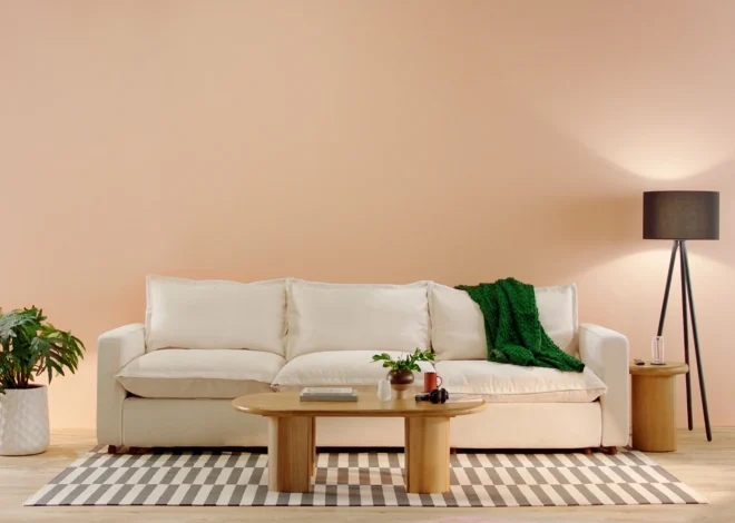 A Guide to Choosing the Best Sofa Color