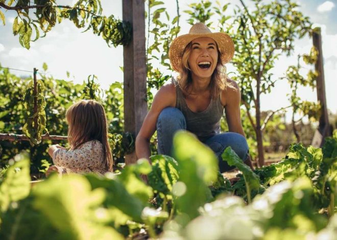Sustainable Family: Practical Steps for a Greener Lifestyle