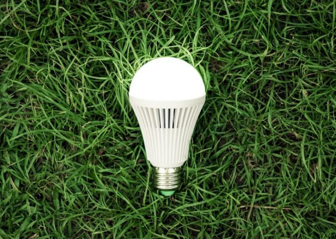 How to Select Sustainable Lighting for Your Eco-Friendly Home