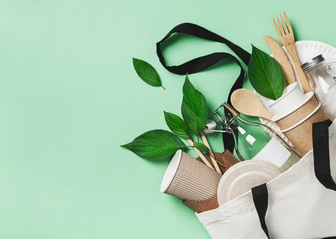 A Beginner’s Guide to Living with Less Waste